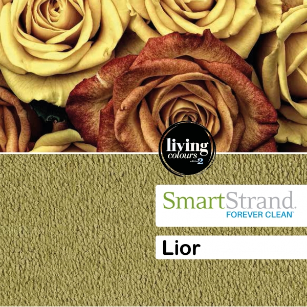 Szőnyegpadló/Lano/Smartstrand/szo-la-sm-lior
