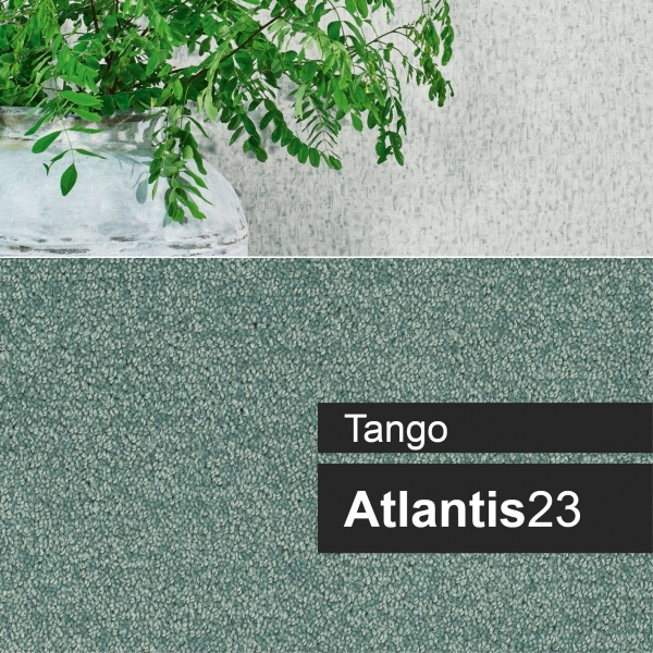 Szőnyegpadló/szo-in-at-tango